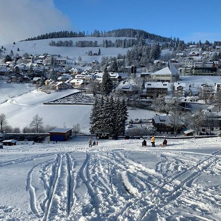 Haus Am Sonnenberg,Todtnauberg, Ferienwohnung 002, Direkt Am Skilift-Skipiste, Naehe Feldberg 외부 사진