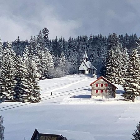Haus Am Sonnenberg,Todtnauberg, Ferienwohnung 002, Direkt Am Skilift-Skipiste, Naehe Feldberg 외부 사진
