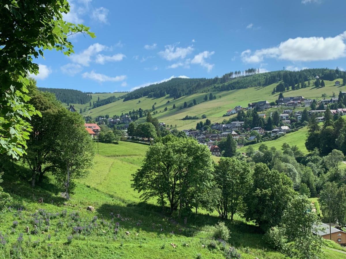 Haus Am Sonnenberg,Todtnauberg, Ferienwohnung 002, Direkt Am Skilift-Skipiste, Naehe Feldberg 외부 사진