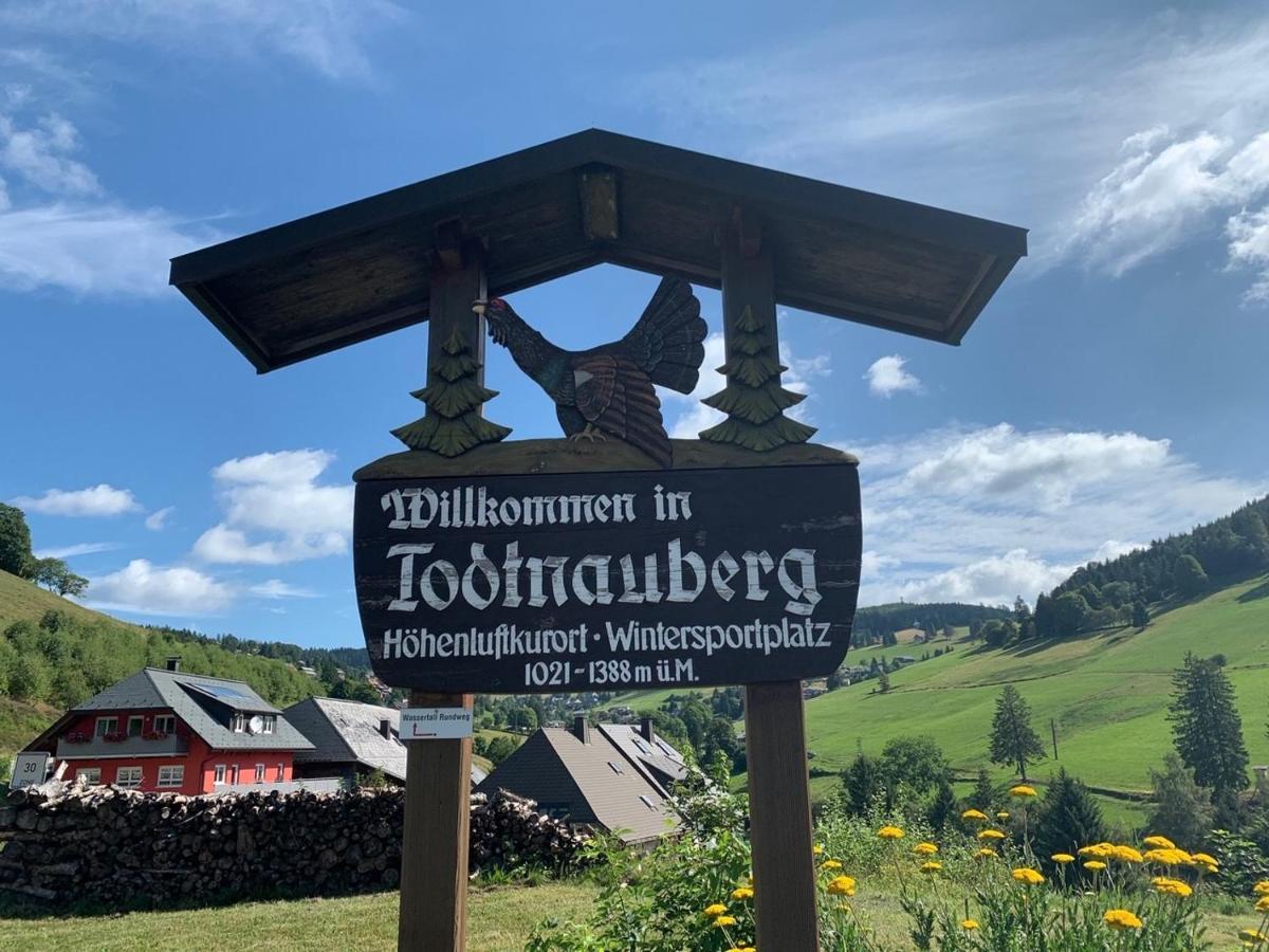 Haus Am Sonnenberg,Todtnauberg, Ferienwohnung 002, Direkt Am Skilift-Skipiste, Naehe Feldberg 외부 사진