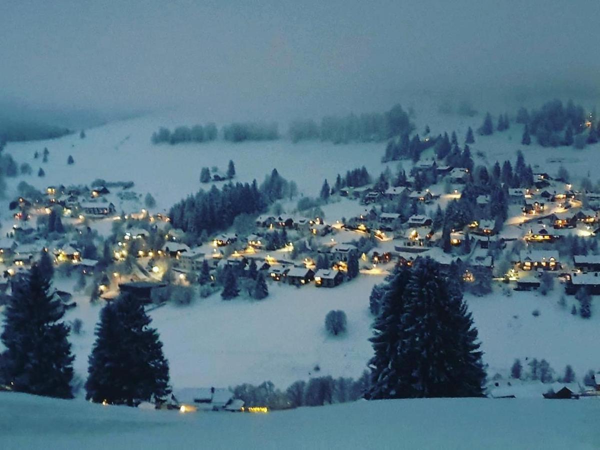 Haus Am Sonnenberg,Todtnauberg, Ferienwohnung 002, Direkt Am Skilift-Skipiste, Naehe Feldberg 외부 사진
