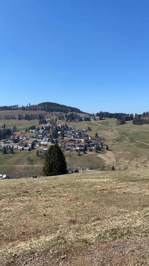 Haus Am Sonnenberg,Todtnauberg, Ferienwohnung 002, Direkt Am Skilift-Skipiste, Naehe Feldberg 외부 사진