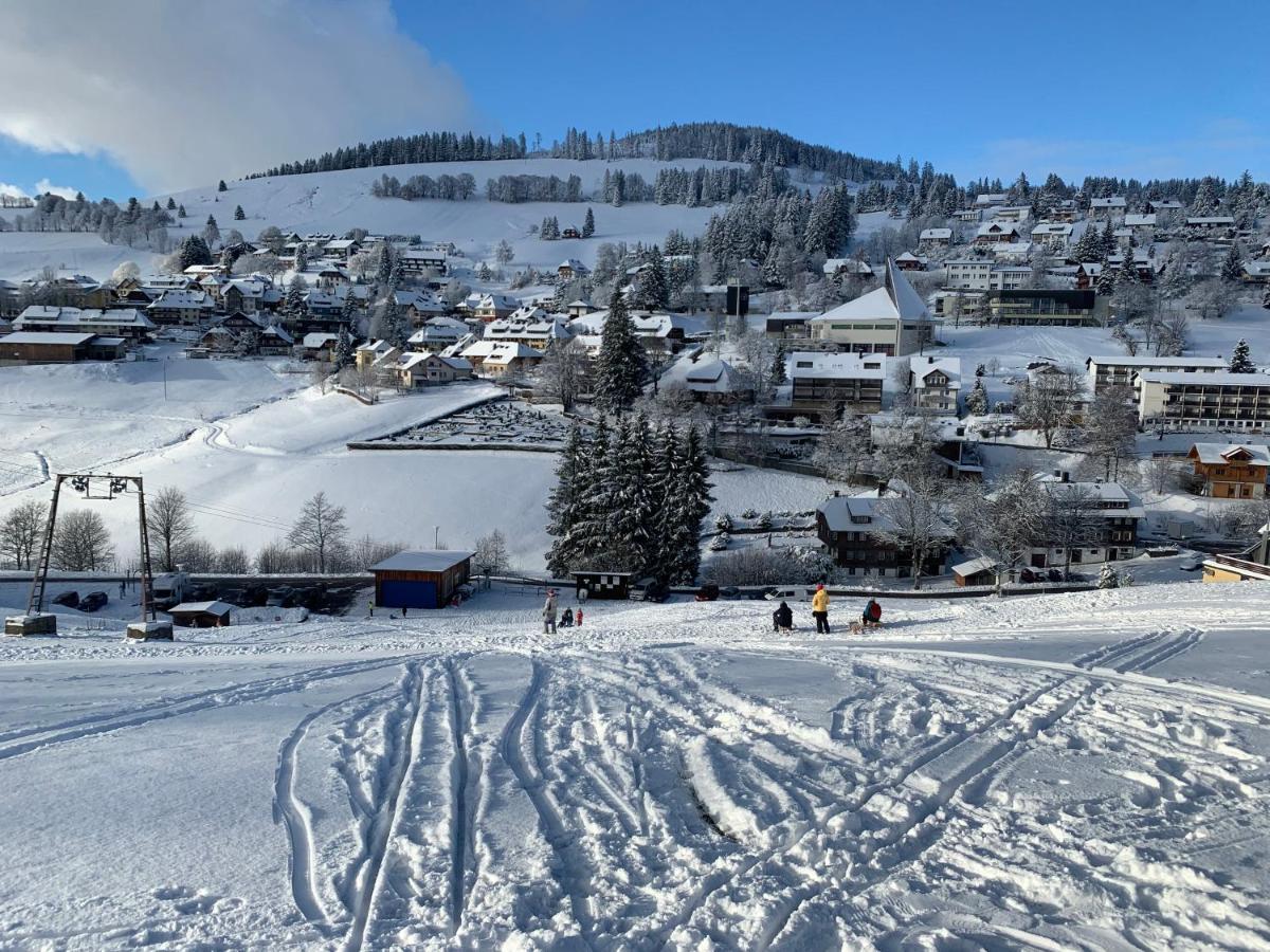 Haus Am Sonnenberg,Todtnauberg, Ferienwohnung 002, Direkt Am Skilift-Skipiste, Naehe Feldberg 외부 사진