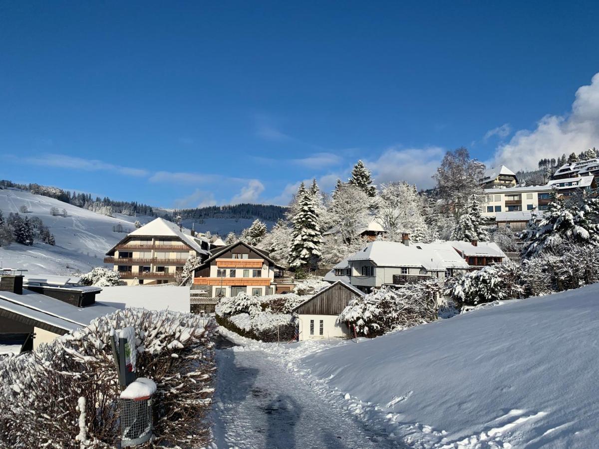 Haus Am Sonnenberg,Todtnauberg, Ferienwohnung 002, Direkt Am Skilift-Skipiste, Naehe Feldberg 외부 사진